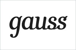 Логотип gauss